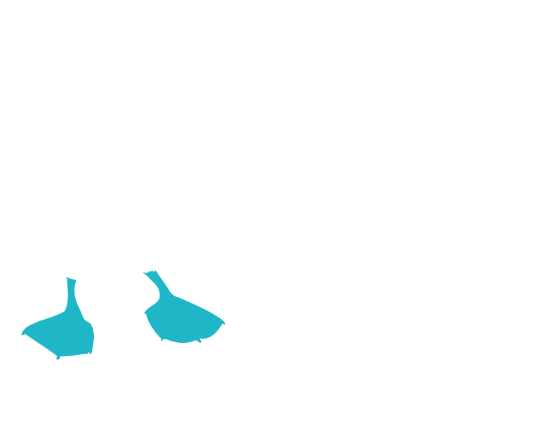 Galapagos Suites Hotel Ecuador